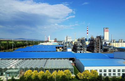 新疆心連心公司綠色制造系統(tǒng)集成項(xiàng)目通過(guò)國(guó)家工信部驗(yàn)收